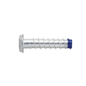 Hex Screwbolt Blue-Tips